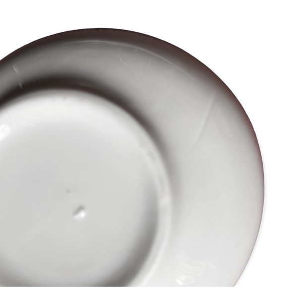 Limited Edition 1800 Tequila Promotional Agave Bowl - Picture 5 of 5